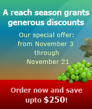 Баннеры: Рекламные баннеры для веб